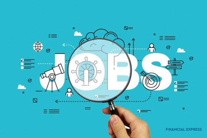 Freshers Identify the Right Job Opportunities